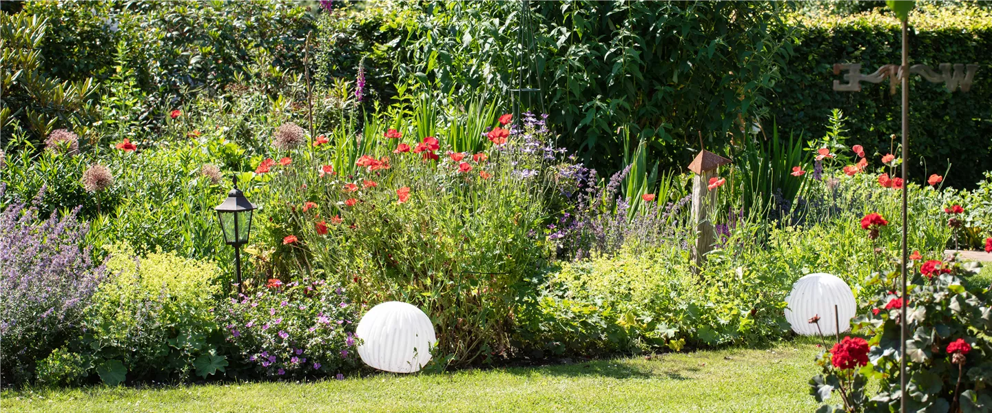 Gartenbeleuchtung im Staudenbeet